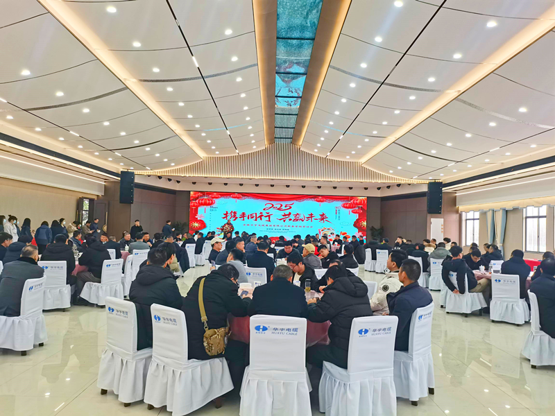 乘勢而上,篤行不怠 ——安徽華宇集團舉行2025年營銷工作新春茶話會