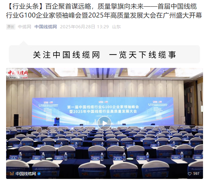 百企聚首謀遠略,質量擎旗向未來——首屆中國線纜行業G100企業家領袖峰會暨2025年高質量發展大會在...