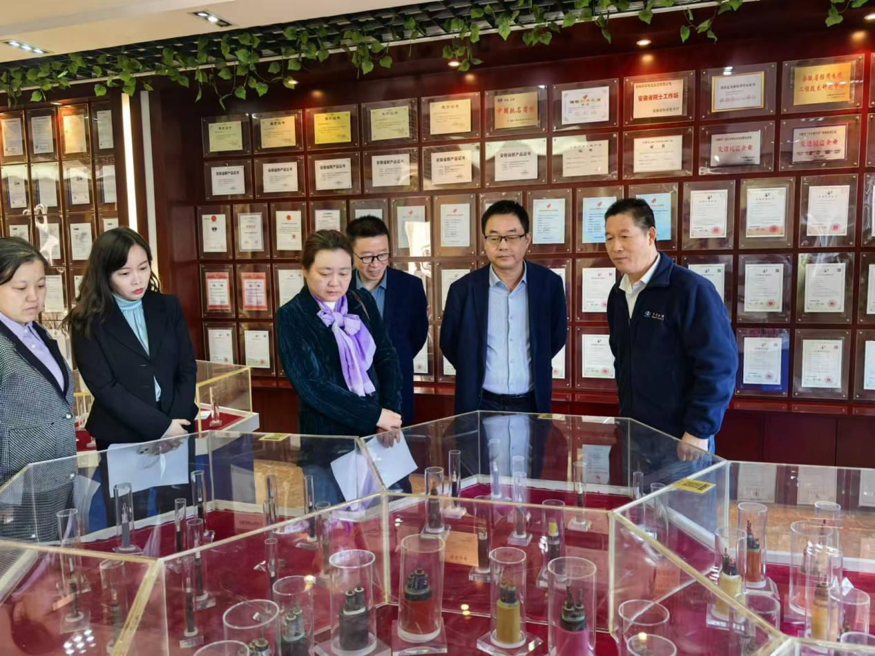 蕪湖市政協副主席陸峰蒞臨公司考察指導