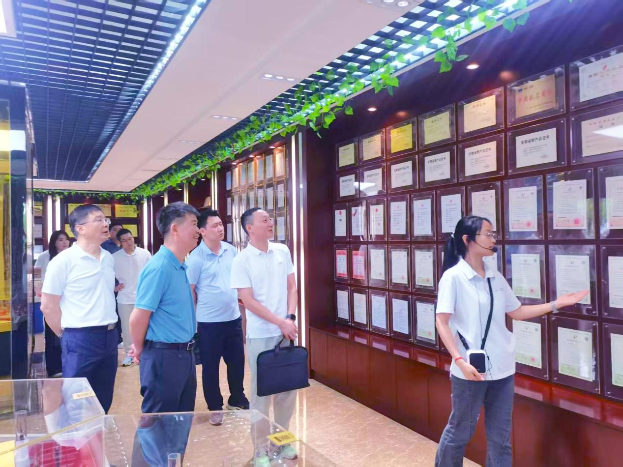 蕪湖市園區非公企業黨建工作調研組一行蒞臨華宇集團 調研驗收省級“雙強六好”創建工作